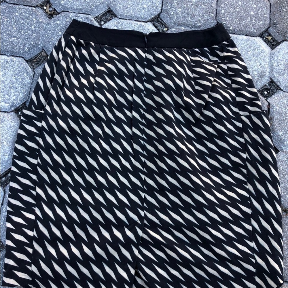 Anthropologie Skirt Size 2